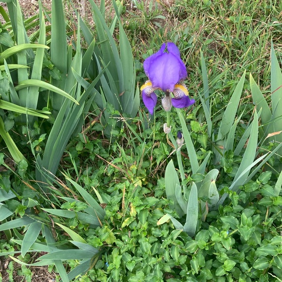 Meet your Posher, Lynn - Picture 2 of 2